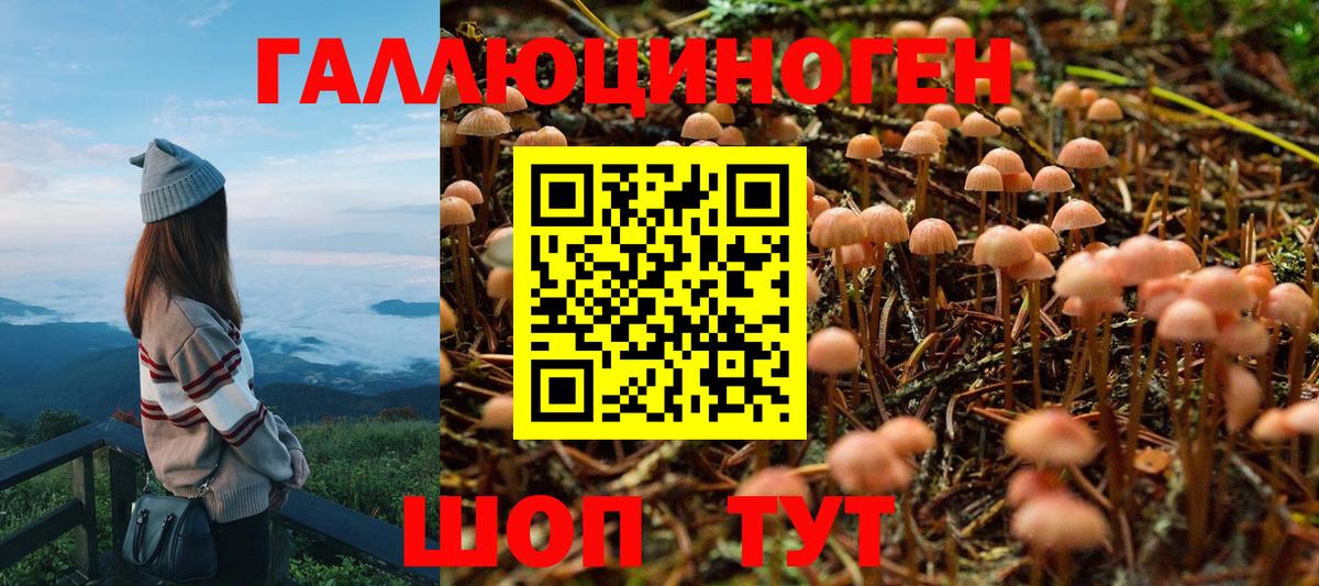 Псилоцибиновые грибы прущие грибы Котельники