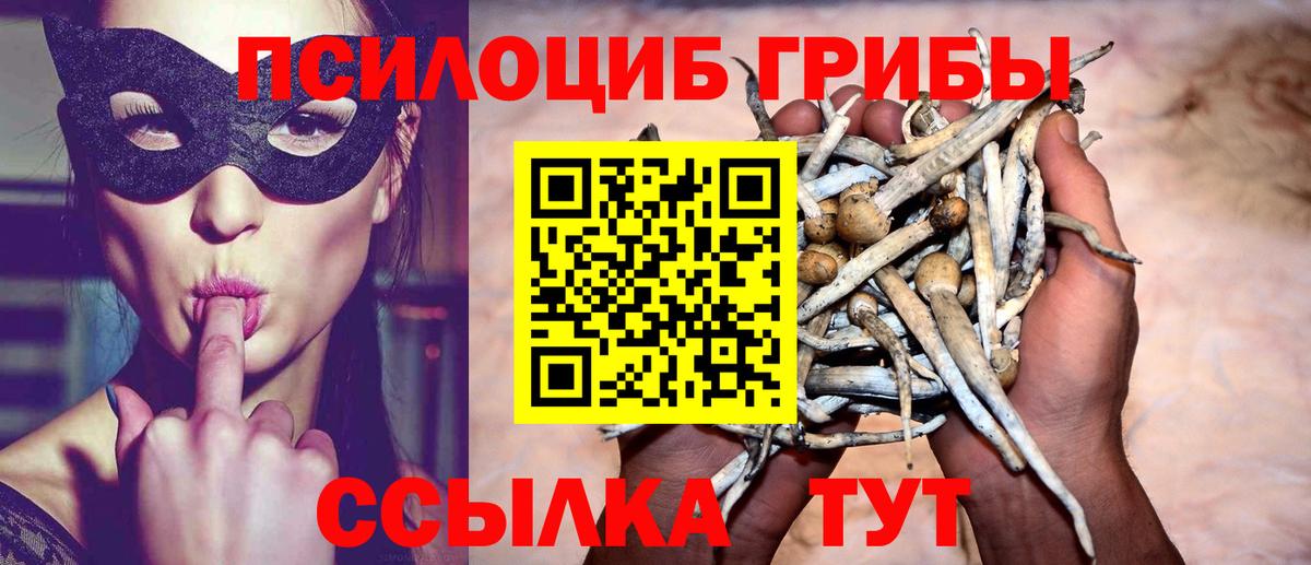 Котельники  Галлюциногенные грибы ЛСД  Вход с VPN  Галлюциногенные грибы Psilocybe 